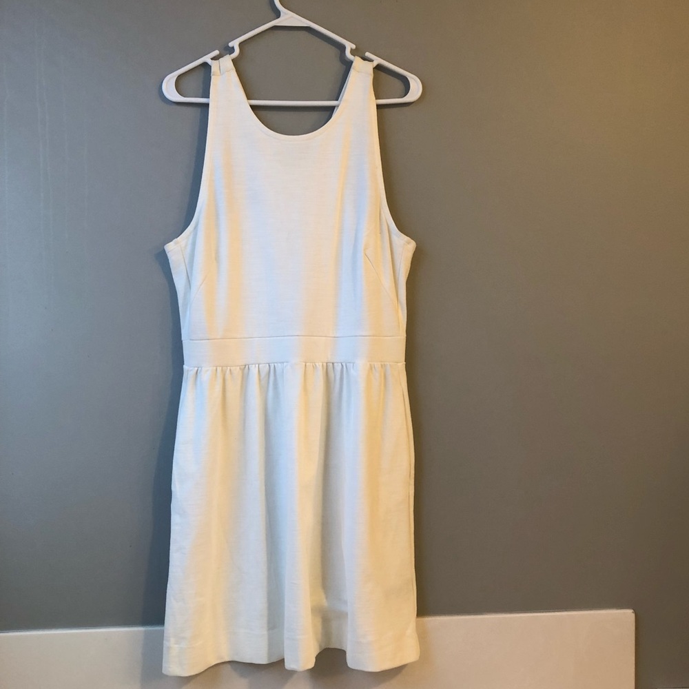 Fit & Flare Madewell Dress (New)
